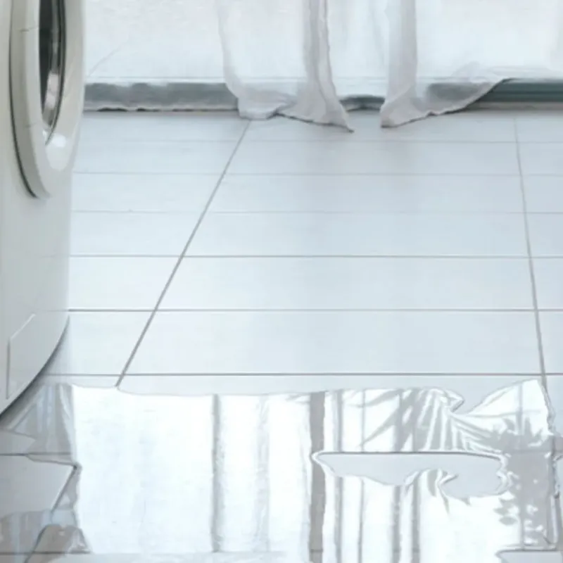 Appliance Leak Cleanup in Palm Beach Shores, FL