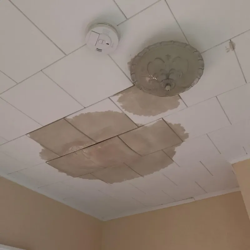 Ceiling Water Damage Repair in Palm Beach Shores, FL
